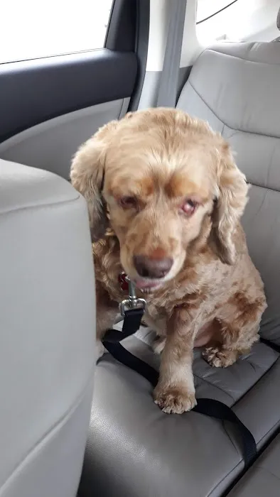 Banfield Pet Hospital 5