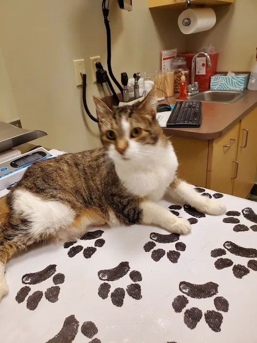 Good Hope Animal Hospital 2