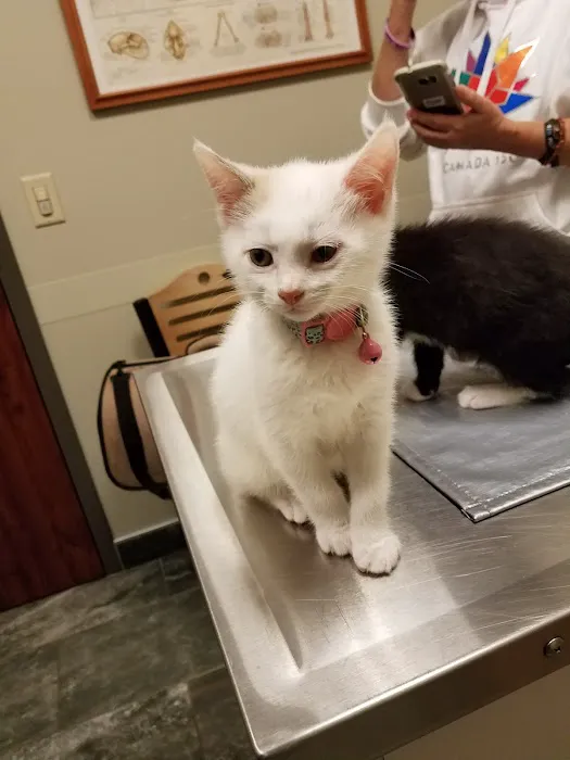 Good Hope Animal Hospital 4