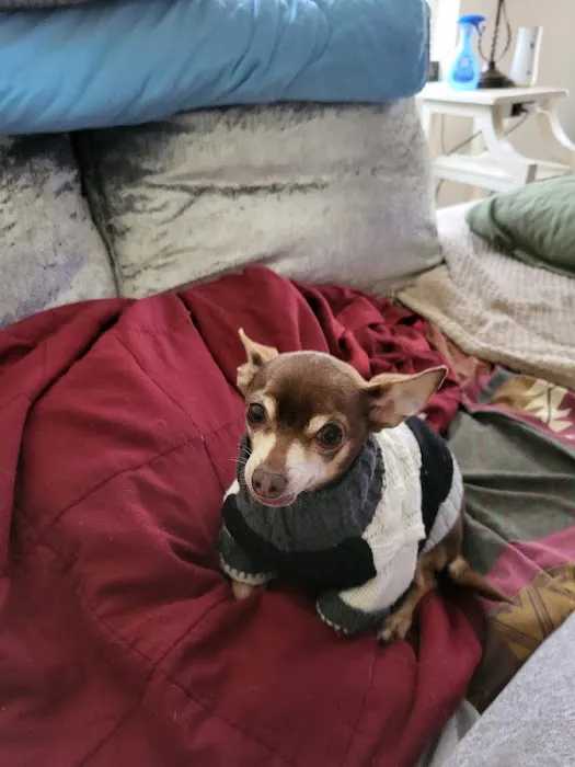 Good Hope Animal Hospital 7