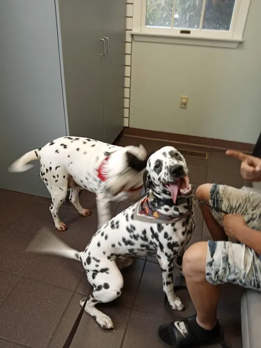 Mechanicsburg Veterinary Clinic 1