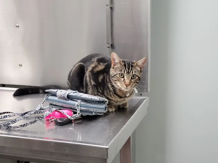Mechanicsburg Veterinary Clinic 2