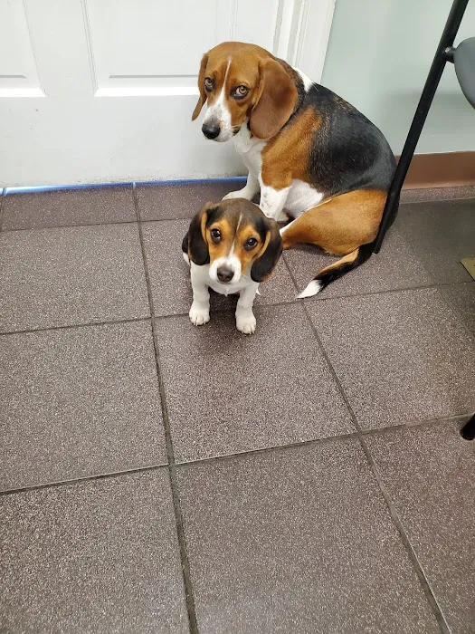 Mechanicsburg Veterinary Clinic 3