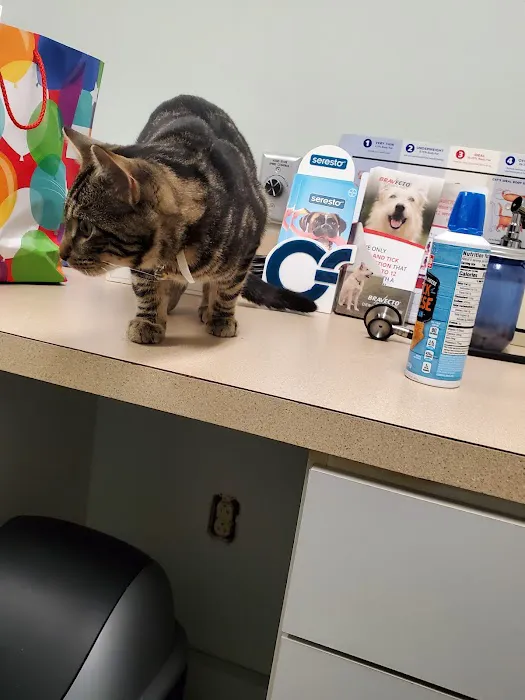 Mechanicsburg Veterinary Clinic 5