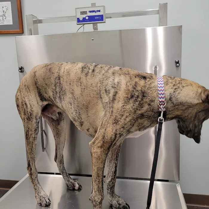 Mechanicsburg Veterinary Clinic 6