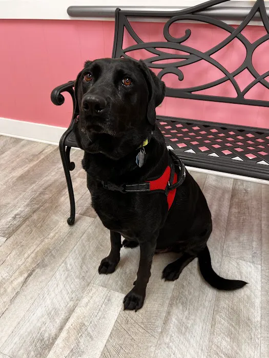 Gettysburg Pike Animal Clinic 12