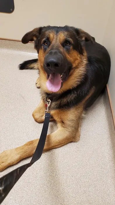 Animal Health Care Center 7