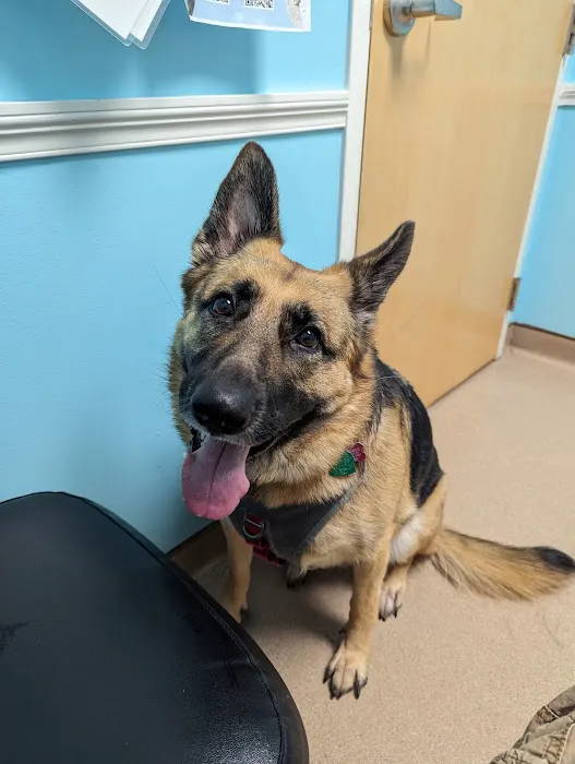 Animal Health Care Center 4
