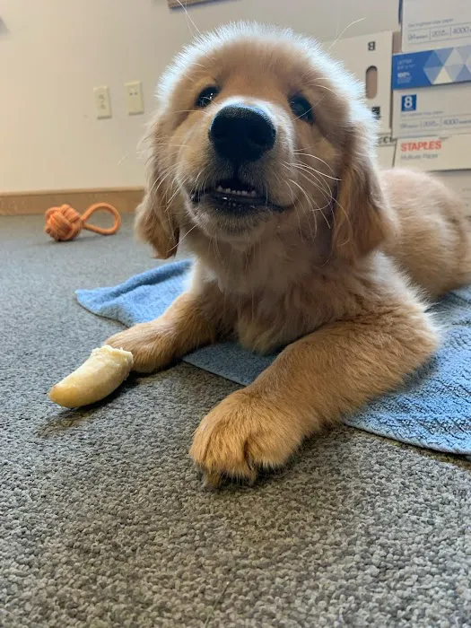 Valley Animal Hospital LLC 2