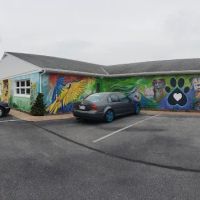 Valley Animal Hospital LLC ico