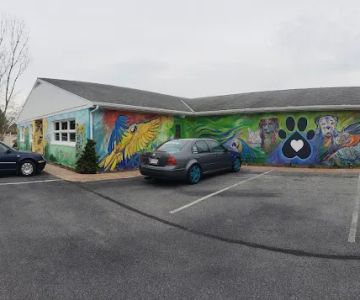 Valley Animal Hospital LLC