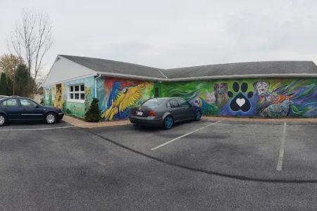 Valley Animal Hospital LLC