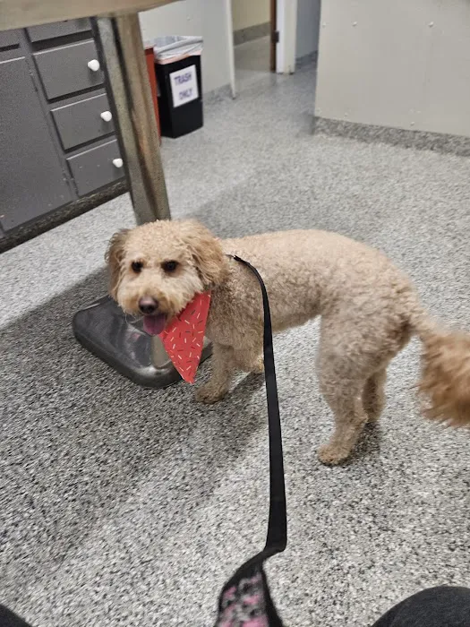 Valley Animal Hospital LLC 4