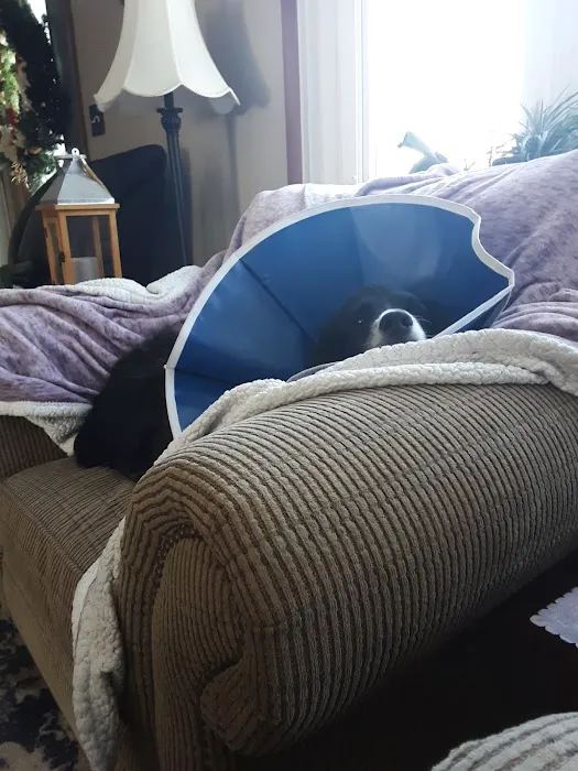 Valley Animal Hospital LLC 8