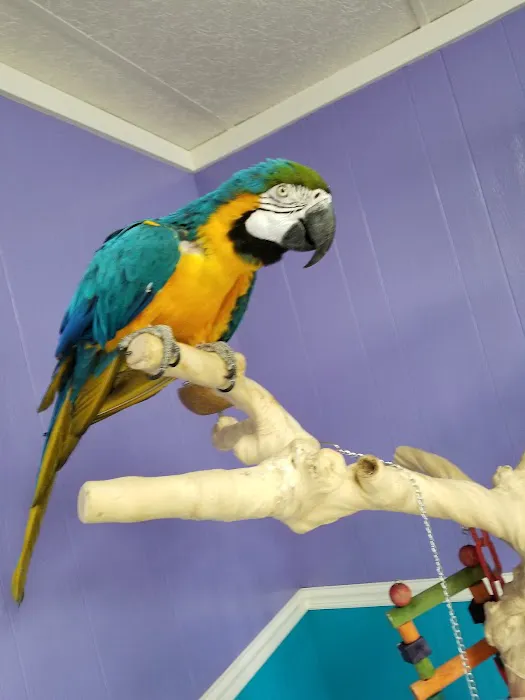 Valley Animal Hospital LLC 9