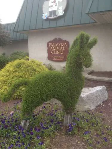 Palmyra Animal Clinic 2
