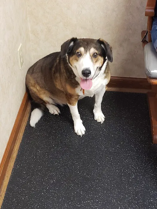 Palmyra Animal Clinic 6