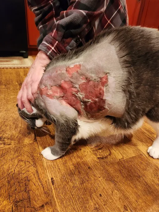 Palmyra Animal Clinic 8