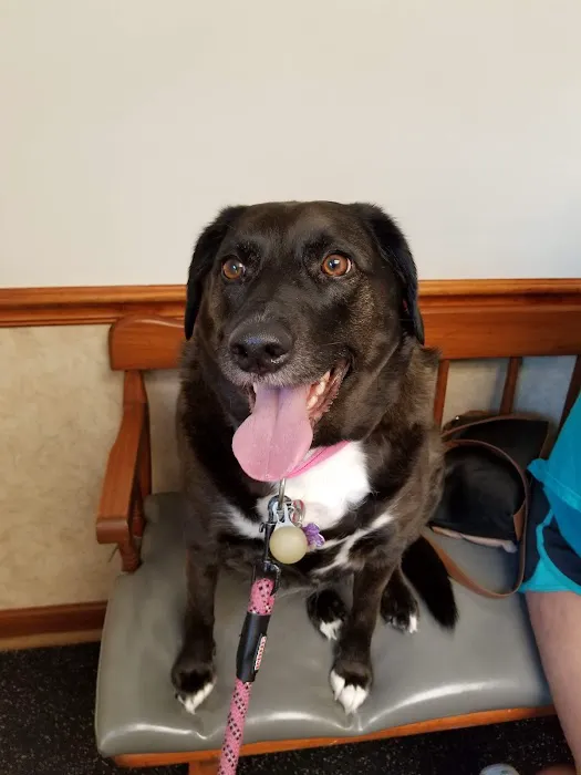 Palmyra Animal Clinic 10