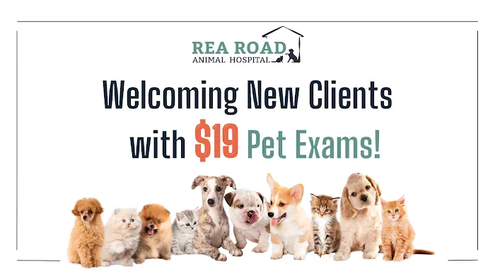 Rea Road Animal Hospital 1