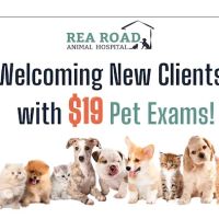 Rea Road Animal Hospital ico