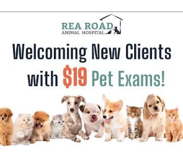 Rea Road Animal Hospital
