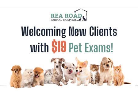Rea Road Animal Hospital