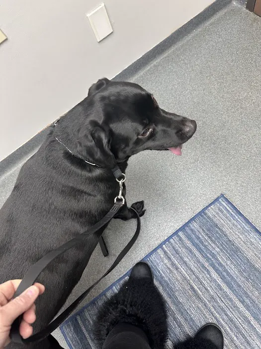 Rea Road Animal Hospital 4