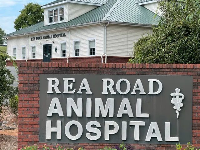 Rea Road Animal Hospital 2