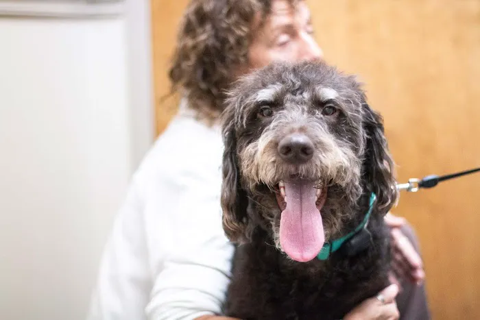 Rea Road Animal Hospital 6