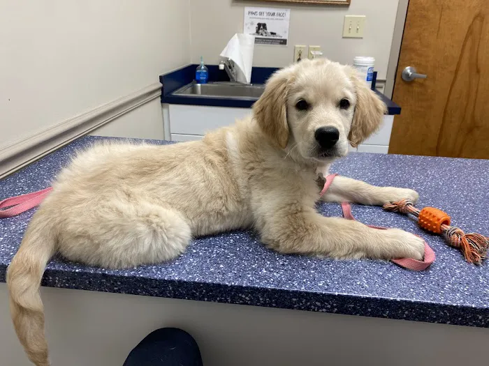 Rea Road Animal Hospital 3