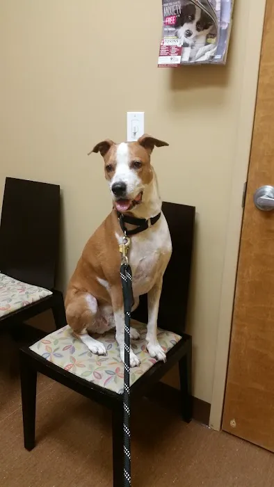 Ballantyne Veterinary Clinic 3