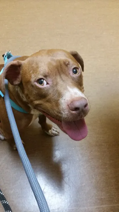 Ballantyne Veterinary Clinic 9