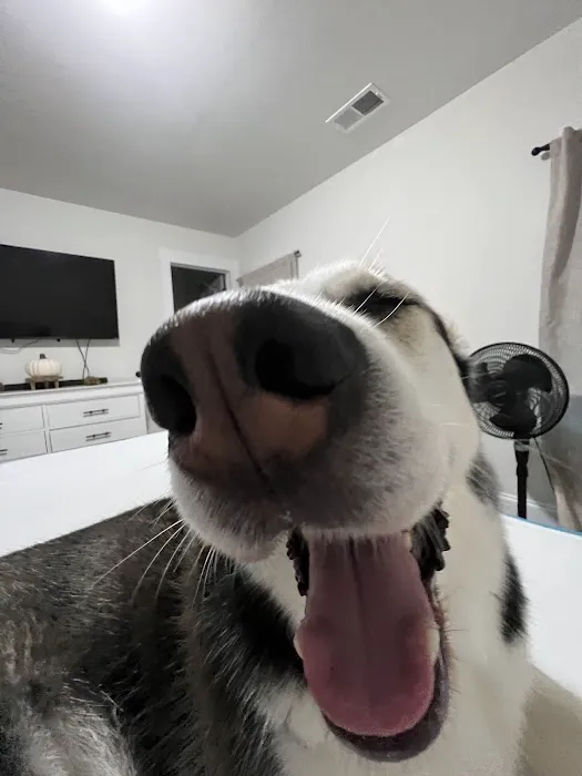 Banfield Pet Hospital 2