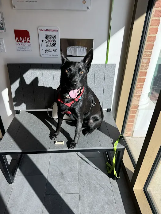 Banfield Pet Hospital 12