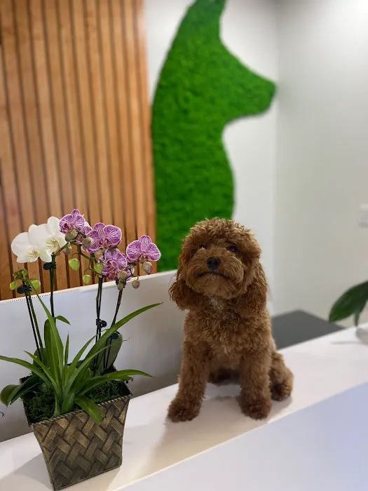 Greenway Animal Hospital 12