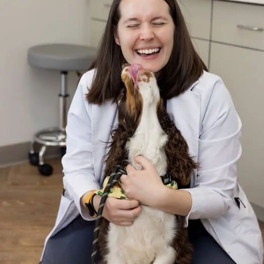 Mill Springs Animal Hospital 3