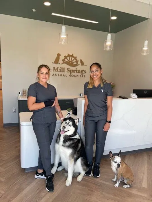 Mill Springs Animal Hospital 4