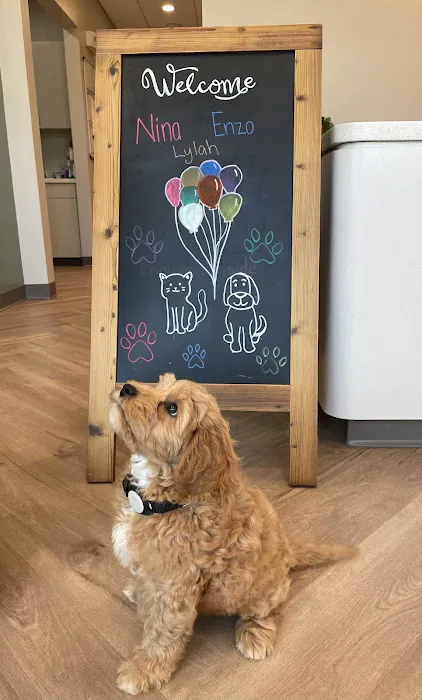 Mill Springs Animal Hospital 5