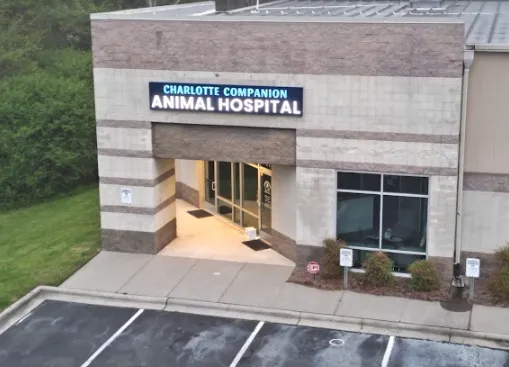 Charlotte Companion Animal Hospital 12