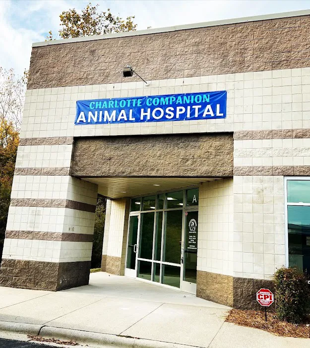 Charlotte Companion Animal Hospital 12