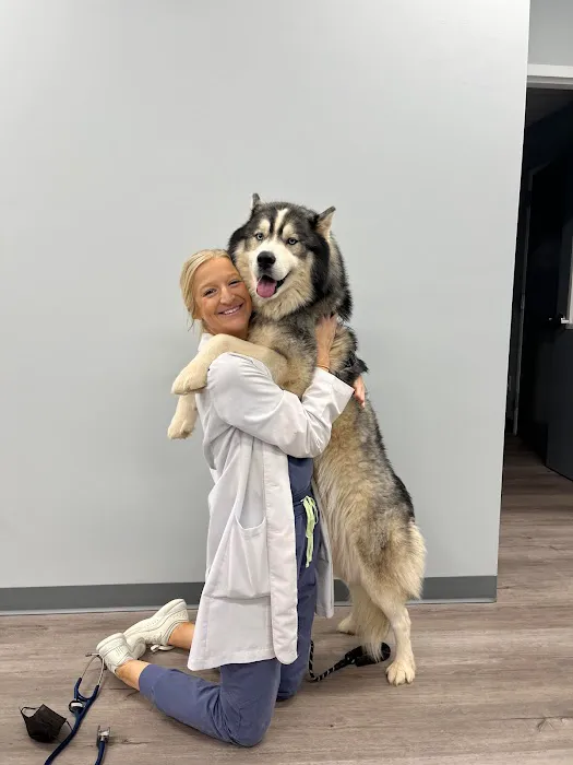 Charlotte Companion Animal Hospital 12