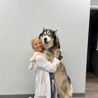 Charlotte Companion Animal Hospital ico