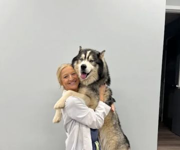 Charlotte Companion Animal Hospital