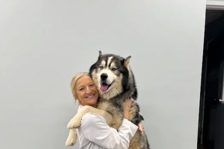 Charlotte Companion Animal Hospital