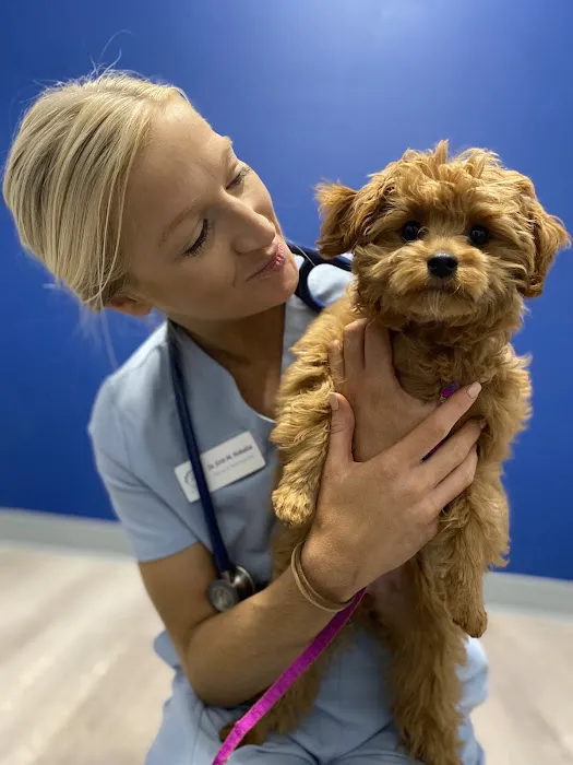 Charlotte Companion Animal Hospital 12