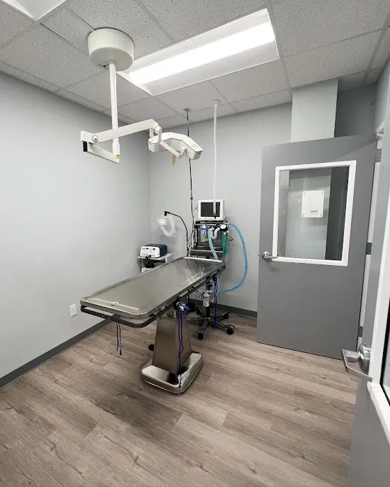 Charlotte Companion Animal Hospital 12