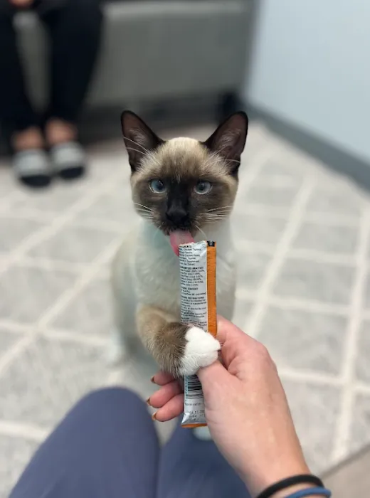 Charlotte Companion Animal Hospital 12