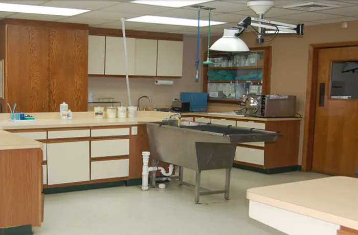 Steele Creek Animal Hospital 10