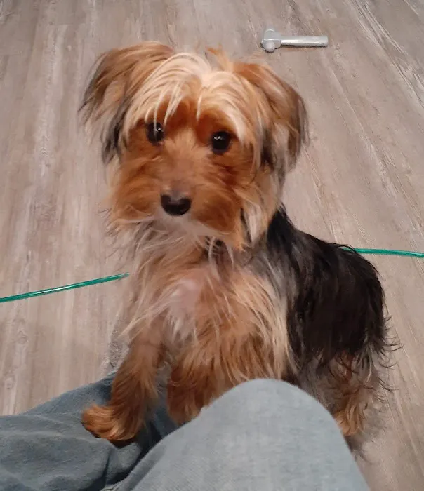 Banfield Pet Hospital 2